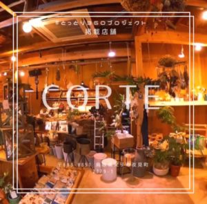 多肉植物は異次元だった!楽しみ方を教えてくれるオシャレな観葉植物店 CORTE